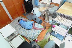13時15分 ごろ