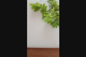 15時35分 ごろ