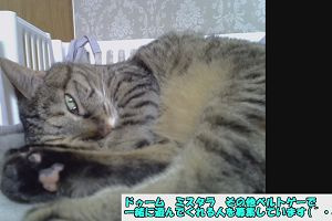 15時50分 ごろ
