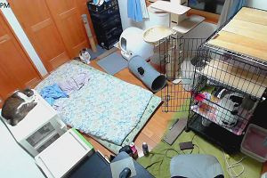 19時45分 ごろ