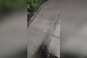 20時40分 ごろ