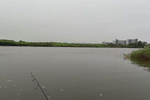 05時30分 ごろ