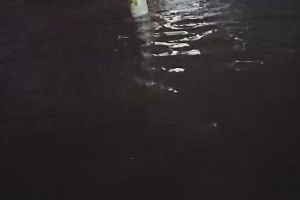20時15分 ごろ