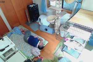 10時45分 ごろ