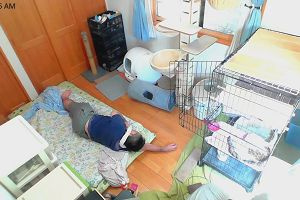 11時30分 ごろ