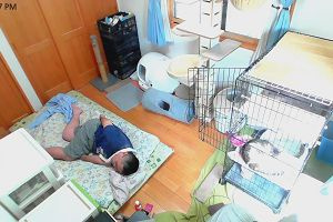 12時10分 ごろ