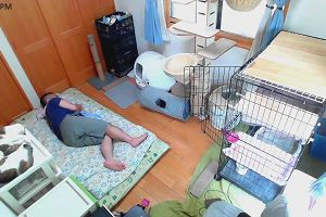 16時40分 ごろ