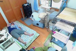 17時00分 ごろ