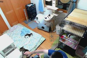 20時00分 ごろ