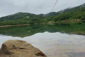 07時05分 ごろ