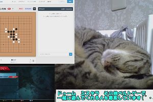 13時05分 ごろ