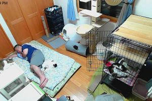 23時35分 ごろ