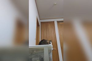 19時50分 ごろ