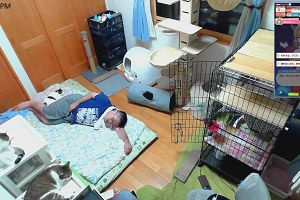 21時20分 ごろ