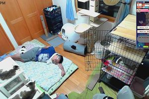 21時55分 ごろ