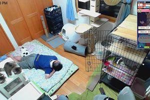 22時20分 ごろ
