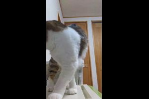 18時10分 ごろ