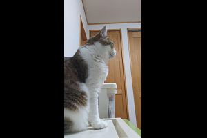 18時15分 ごろ