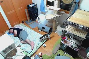 18時55分 ごろ