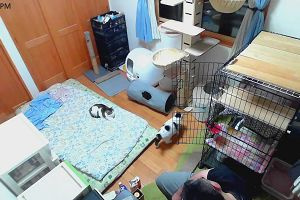 19時20分 ごろ