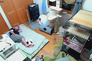 20時30分 ごろ