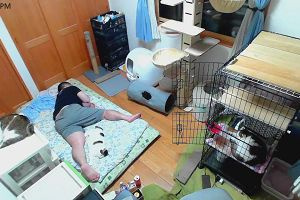 21時40分 ごろ