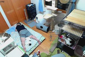 22時30分 ごろ