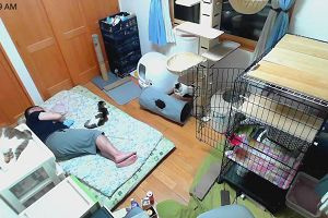 00時50分 ごろ