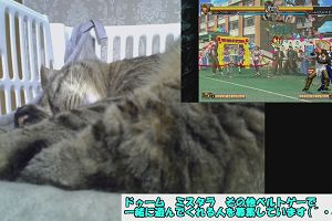 19時45分 ごろ