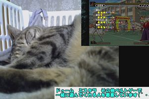 20時00分 ごろ