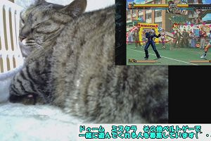 20時15分 ごろ