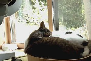 12時40分 ごろ