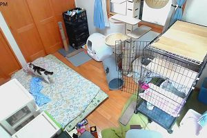 16時55分 ごろ