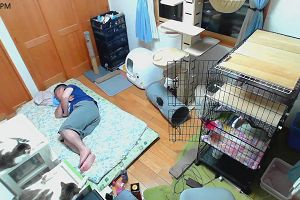 19時45分 ごろ