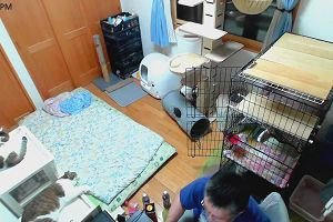21時15分 ごろ