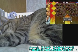 22時35分 ごろ
