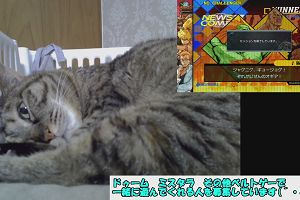 23時00分 ごろ