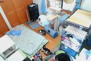 06時25分 ごろ