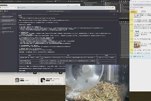 12時30分 ごろ