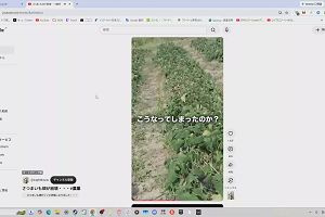23時10分 ごろ