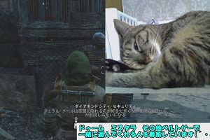 19時40分 ごろ