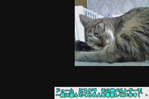 19時50分 ごろ