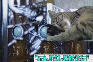 20時00分 ごろ