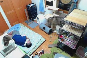 21時00分 ごろ