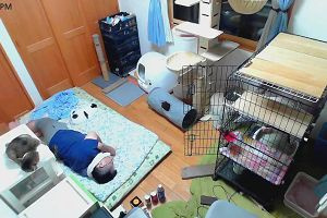 21時35分 ごろ