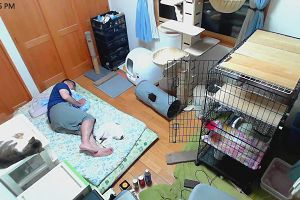 23時05分 ごろ
