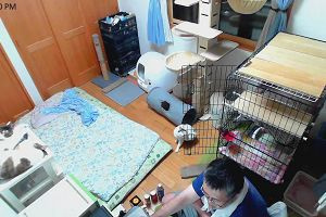 23時30分 ごろ