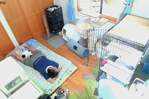 15時00分 ごろ