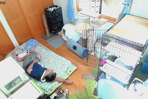 15時10分 ごろ