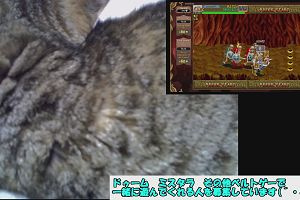 18時15分 ごろ